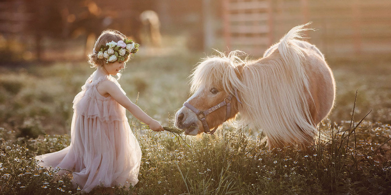 Creative Kid Photoshoot With a Pony