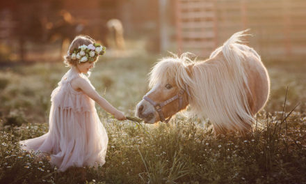 Creative Kid Photoshoot With a Pony