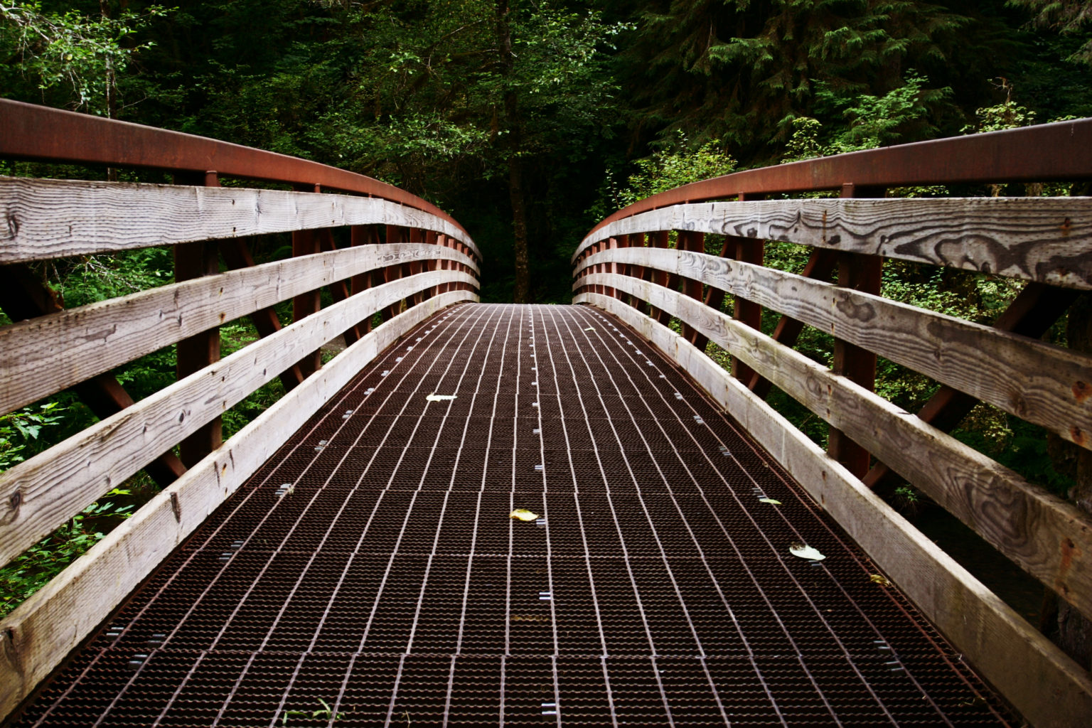 leading-lines-in-photography-improve-your-composition-technique